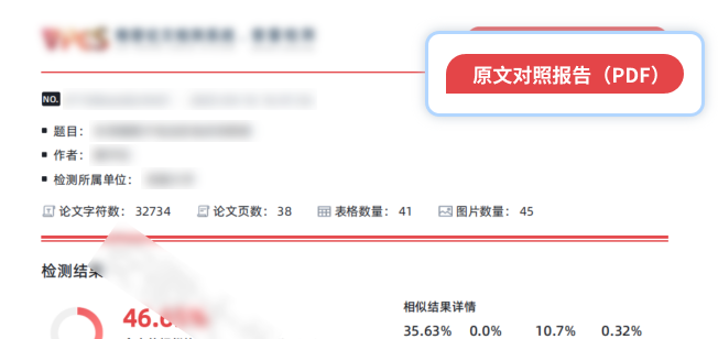 维P查重报告示例