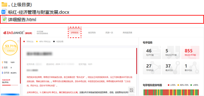 早检测查重报告示例